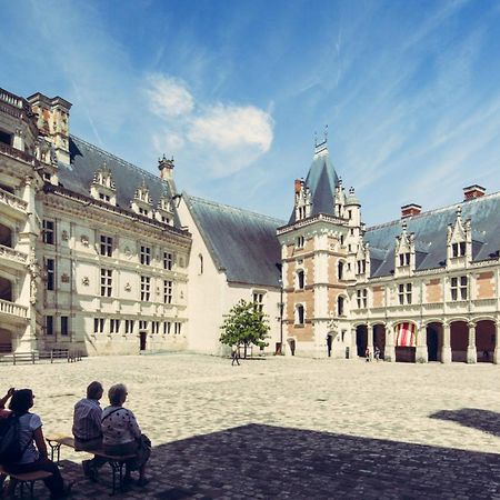 Gite De La Tour De Loire - 65 M2 Au Pied D'Une Tour De Gue Du 17Eme Siecle Mer Екстер'єр фото